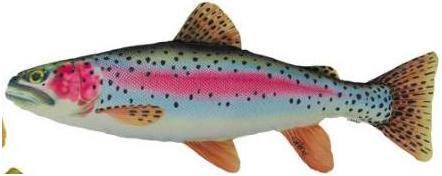 Immagine prodotto Gigabyte trota iridea