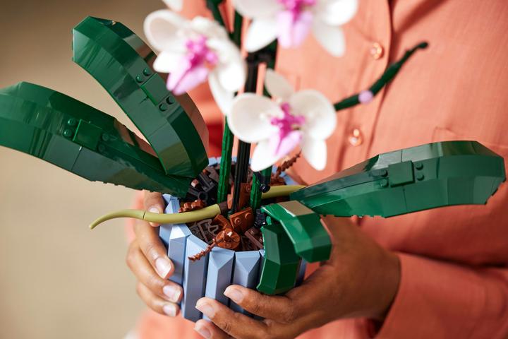 Immagine prodotto LEGO Orchidea (10311, LEGO Botanical)