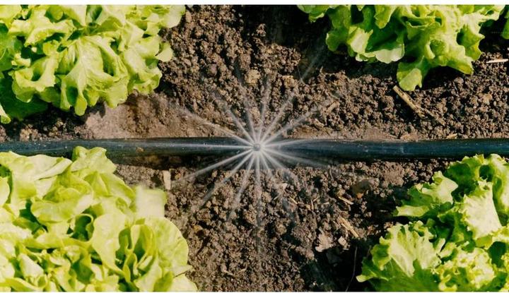 Produktbild Gardena Micro-Drip-System Set Gemüse-/Blumenbeet (Tropfbewässerung Set)