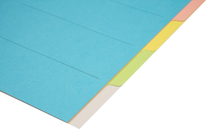 Immagine prodotto Biella Registrare Cartone
