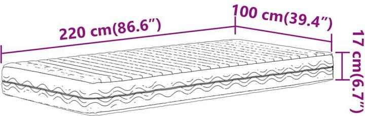 Actual product image vidaXL Schaumstoffmatratze 100 x 220 cm Härtegrad H2 H3 (100 x 220 cm, Foam core)