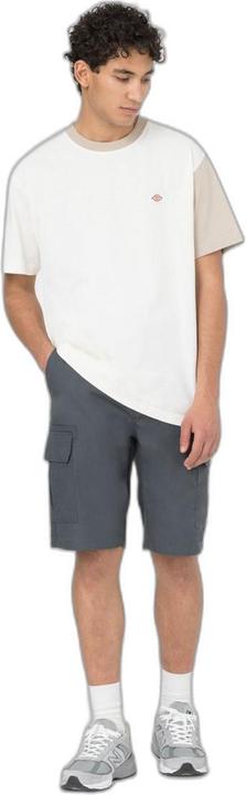 Produktbild Dickies Millerville Short (29)