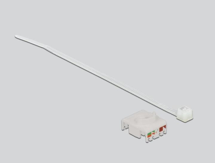 Produktbild Delock Kabelverbinder RJ45 Buchse zu Cat.6A LSA mit Verschlusskappe wasserfest (Netzwerk Kupplung)