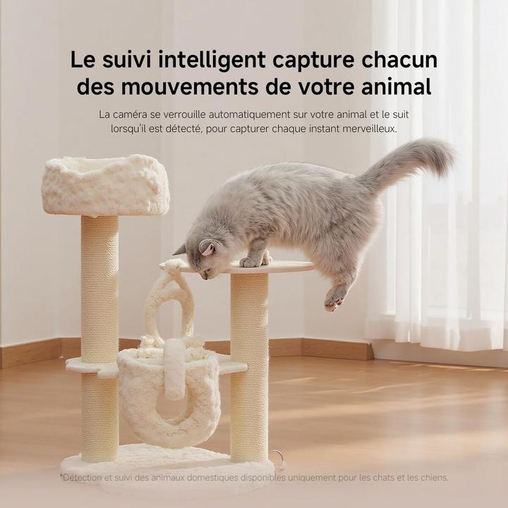 Immagine prodotto Xiaomi Telecamera intelligente C201 (1920 x 1080 Pixels)