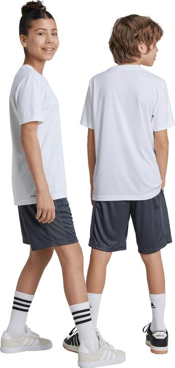 Actual product image adidas Train Essentials Logo (176)
