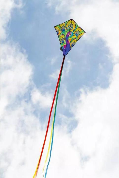Actual product image Invento Kite Eddy Peacock 70x45 cm, from 5 years, incl. handle with 25 m cord
