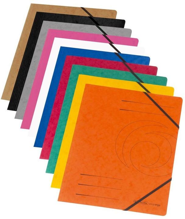 Herlitz 11166816 File Folder Cardboard Mixed Colours A4 (A4, 1 Piece)