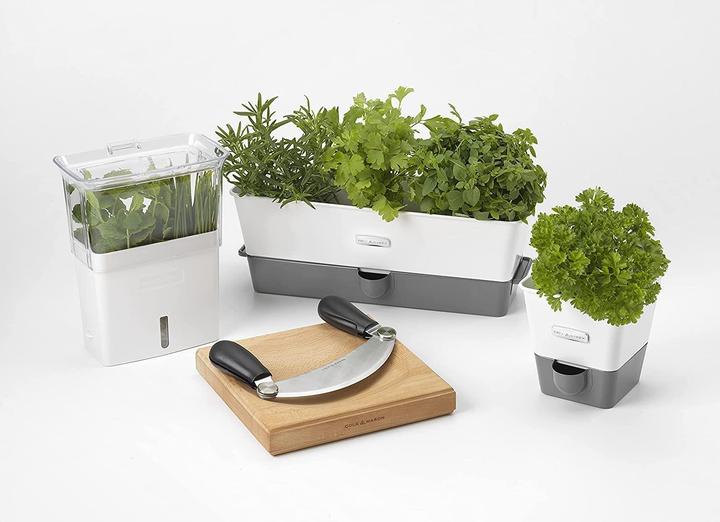 Produktbild Cole & Mason Schnittkräuter Box (0.38 l)