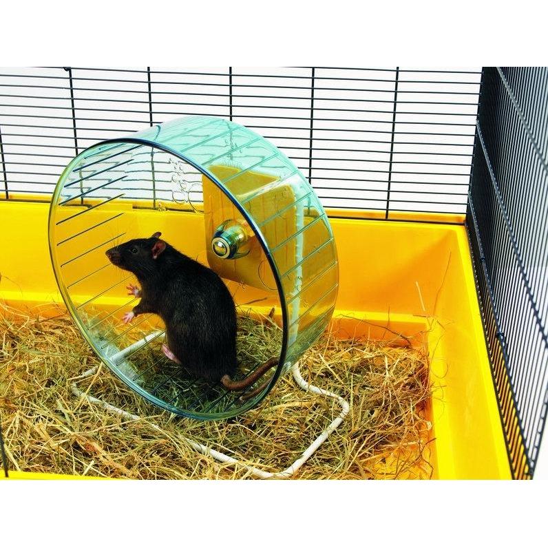 Comparer les prix de Roue Rolly Giant + pied pour rat