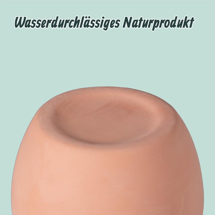 Productafbeelding Relaxdays 3x Ollas (Irrigatieballen)