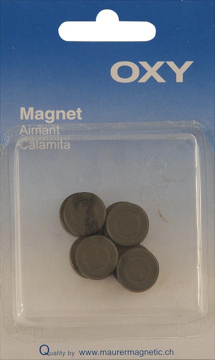 Image du produit Oxy Aimants (8x)
