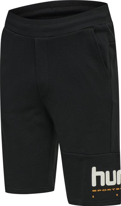 Image du produit hummel Lgc Manfred Shorts (L)
