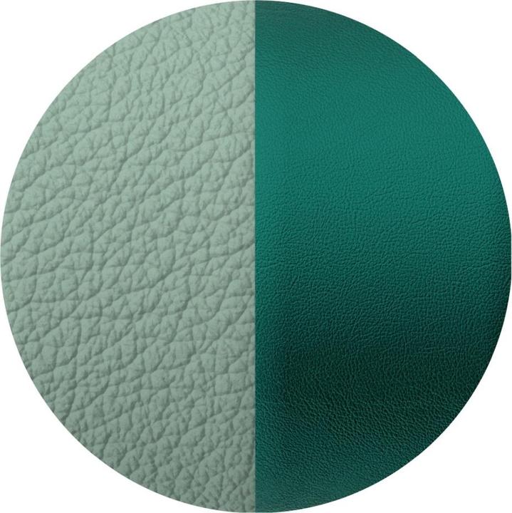 Image du produit Les Georgettes Amande/Menthe givré (Cuir)