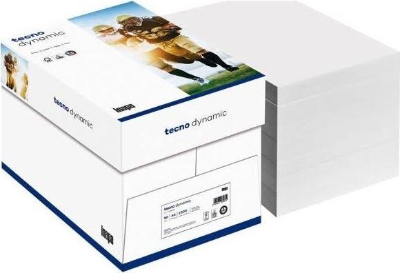 Actual product image Inapa Business Paper (80 g/m², 500 x, A4)