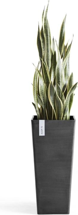 Produktbild Ecopots Rotterdam High (32 cm)