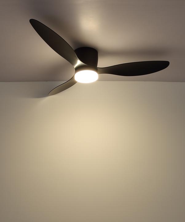 Actual product image Globo Armando (42.45 dB)