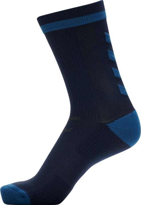 darksapphirebluecoral