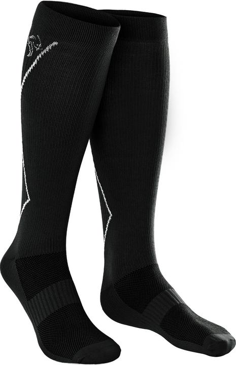 Produktbild Black Snake compression fit running (43, 46)