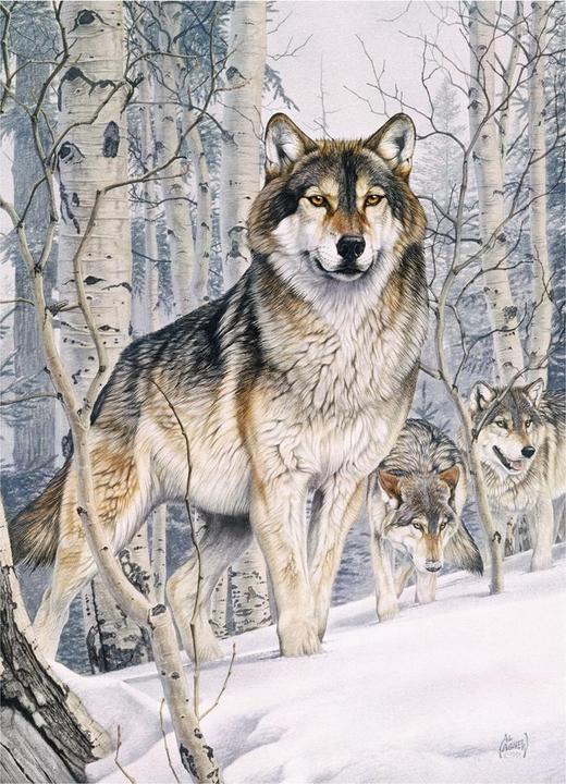 Actual product image Cobble Hill Wolf in the winter forest 1000 parts (1000 pieces)