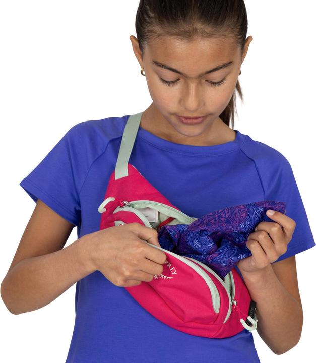 Actual product image Osprey Daylite Mini Waist