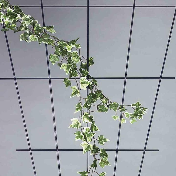 Immagine prodotto Siena Garden Traliccio (150 cm, 75 cm)