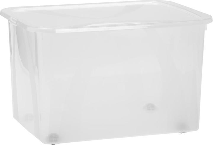 Produktbild Rotho Arco (56.5 x 38 x 34 cm, 50 l)