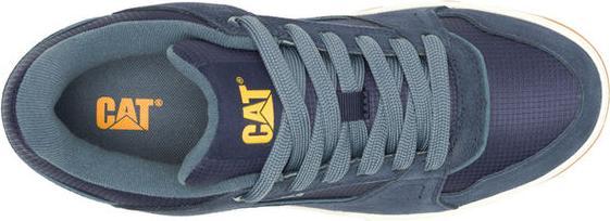 Produktbild Cat Theorem (41)