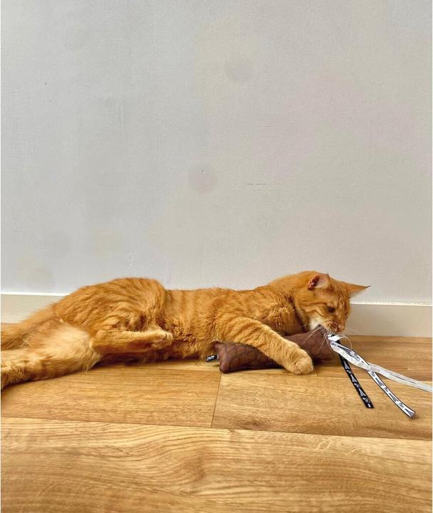 Produktbild Martin Kattenspeelgoed Estelle Kussen Met Catnip Gerecycled Assorti - 30X10X2 Cm (Katzenminzespielzeug)