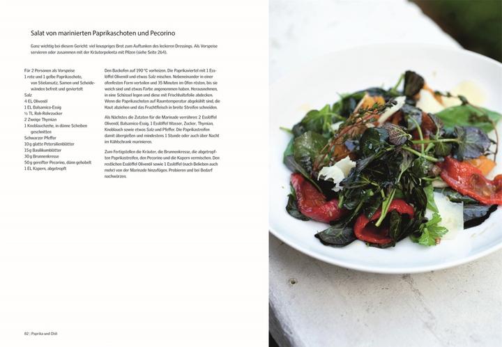 Actual product image Genussvoll vegetarisch (German, Yotam Ottolenghi, 2011)