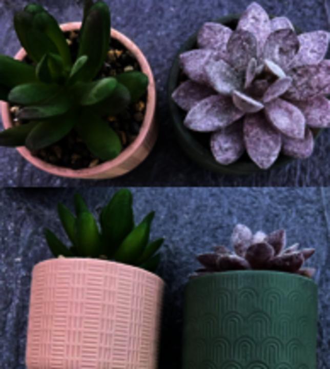 Actual product image Arti Casa Artificial plant in pot 2as
