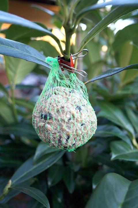 Produktbild Maul Mauly (12 x)