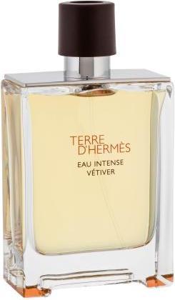 Image du produit Hermès Terre D'hermes (Eau de parfum, 100 ml)