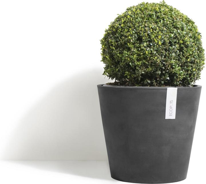 Image du produit Ecopots Amsterdam Wheels (80 cm)