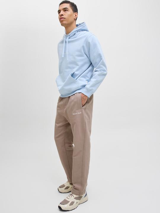 Actual product image Jack & Jones Relaxed Fit Relaxed Fit Hosen Relaxed Fit Hosen (M)