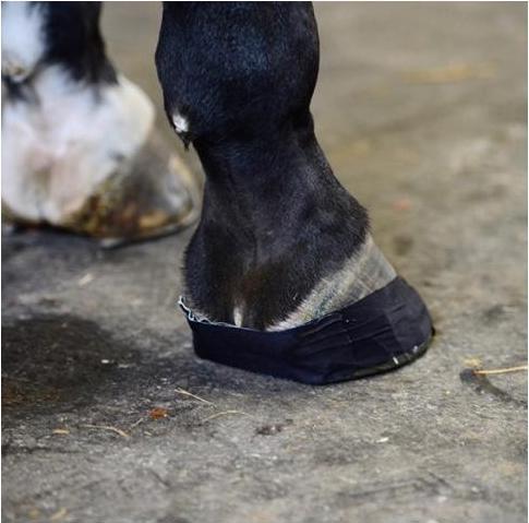 Actual product image Kentucky Horsewear Sole Tape