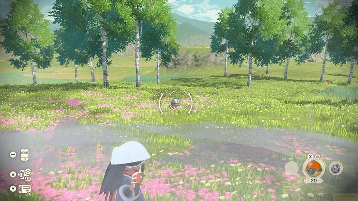 Actual product image Nintendo Pokémon Legends: Arceus (Switch, DE, FR, IT)