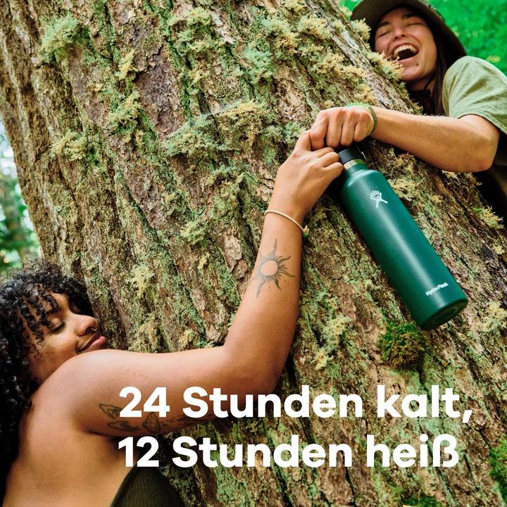 Productafbeelding Hydro Flask Standard Mouth with Standard Flex Cap (0.62 l)