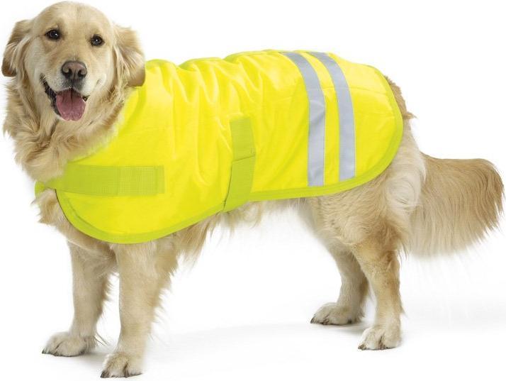 Image du produit Beeztees Bz Sg Manteau Pour Chien Teddie Reflets (L, Manteau pour chien)