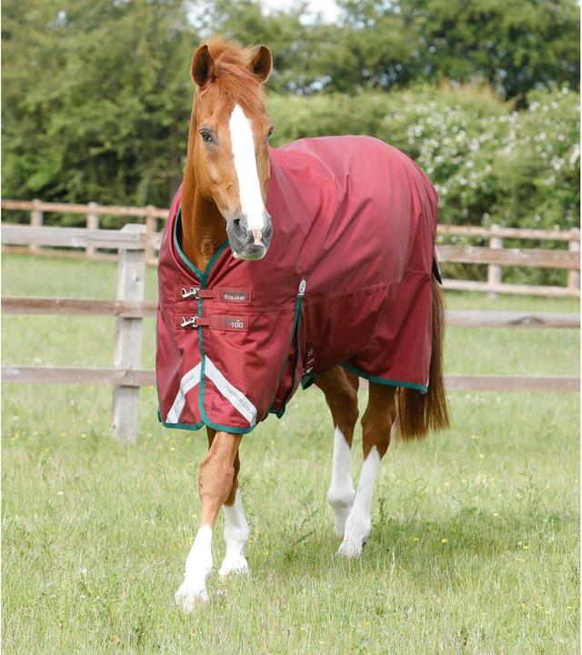 Immagine prodotto Premier Equine Titan 100 g