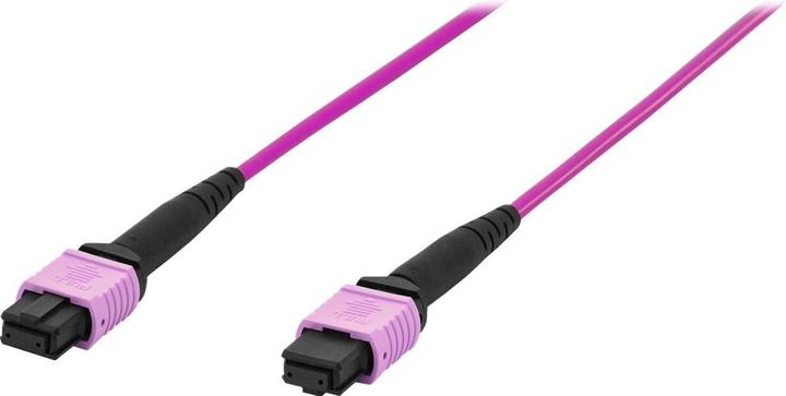 Actual product image Digitus FO Cable 50/125µ. OM4. MPO/MPO Female. 20m (LSOH, CAT6, 20 m)