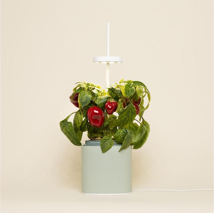 Produktbild Prêt à Pousser Kräutertopf Nano, Celadon Green (13.50 cm)