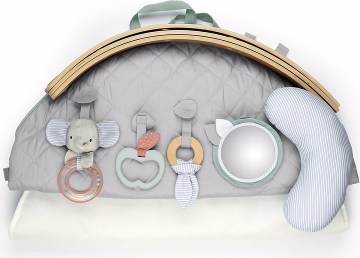 Actual product image Ingenuity Swing
