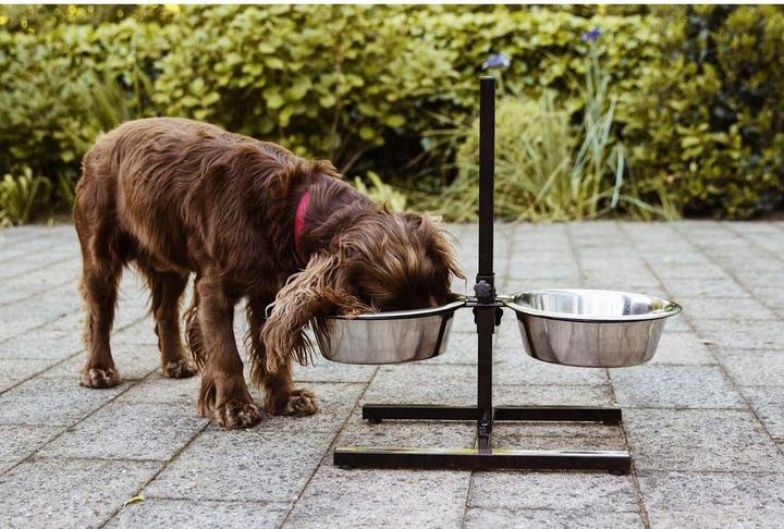 Actual product image Nobby Bowl stand adjustable DINER BAR (150 cl)