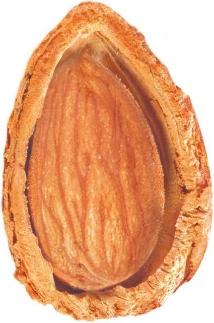 Produktbild Nature Box Shampoo (385 ml, Flüssiges Shampoo)