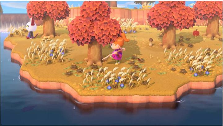 Produktbild Nintendo Animal Crossing: New Horizons (Switch, Switch Lite, Switch OLED)
