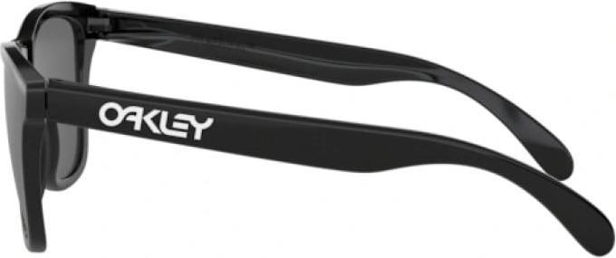 Actual product image Oakley Frogskins