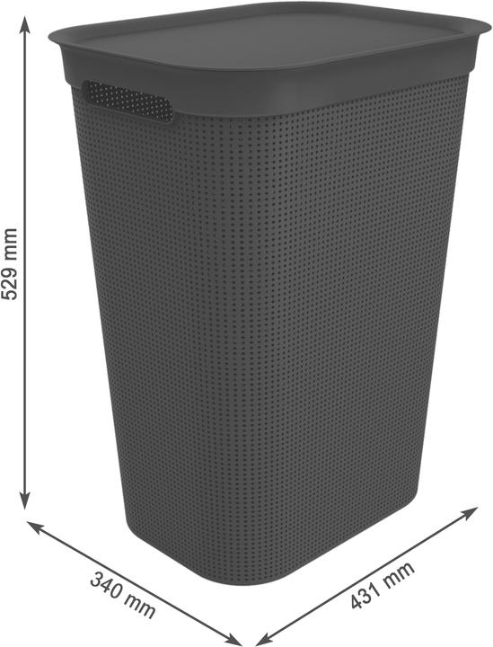 Actual product image Rotho Breezes (50 l)