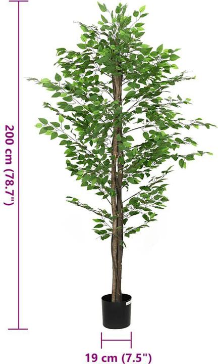 Produktbild vidaXL Ficusbaum (200 cm)