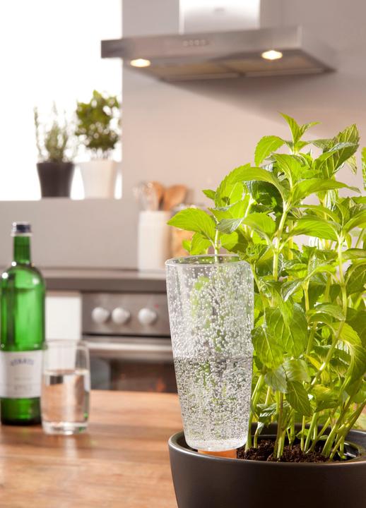 Actual product image Scheurich Copa XL (Clay cone)