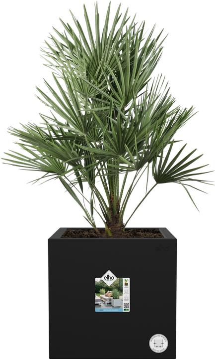 Produktbild Elho Vivo Next (39 x 40 x 39 cm)